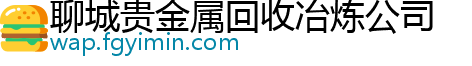 聊城贵金属回收冶炼公司